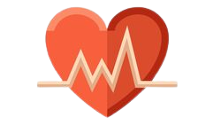 Le bilan de santé SEO de votre site